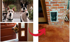 Pet-Door